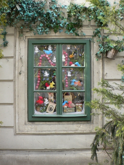 Winter Window in Vienna